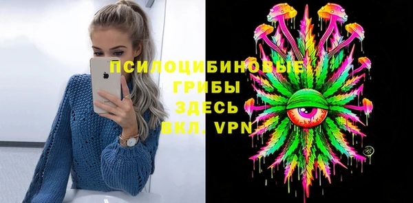 эйфоретик Алексин