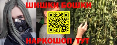 гашик Бийск