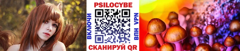 OMG ССЫЛКА  Качканар  мориарти телеграм  Псилоцибиновые грибы мухоморы 