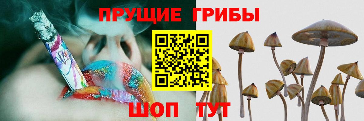 Галлюциногенные грибы ЛСД  Вход с VPN  Псилоцибиновые грибы Psilocybine cubensis  Качканар 